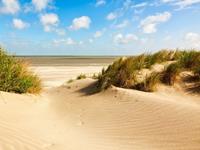 Papermoon Fotobehang Dunes Knokke-Heist