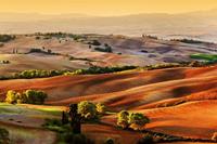 Papermoon Fototapete "Toskana Landschaft"