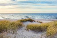 Papermoon Fototapete »Dünen in der Ostsee«, samtig, samtig, Vliestapete, hochwertiger Digitaldruck