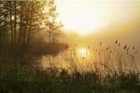 Papermoon Fototapete »Stunning Foggy Landscape«, glatt