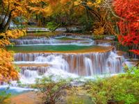 Papermoon Fotobehang Waterfall in Rain forest