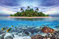 Papermoon Fotobehang Marine Life Maldives