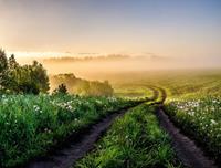 Papermoon Fototapete »Foggy Forest Path«, glatt