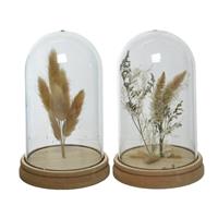 Decoris Stolp glas Ø12-H19cm met droogbloemen