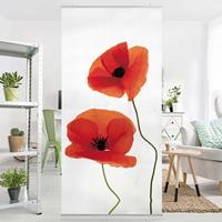 Klebefieber Raumteiler Charming Poppies