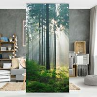 Klebefieber Raumteiler Enlightened Forest