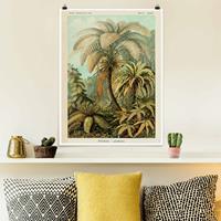 Bilderwelten Poster Botanik Vintage Illustration Laubfarne