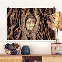 Bilderwelten Poster Blumen - Querformat Buddha in Ayutthaya von Baumwurzeln gesäumt in Braun