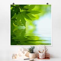 Bilderwelten Poster Blumen - Quadrat Green Ambiance III