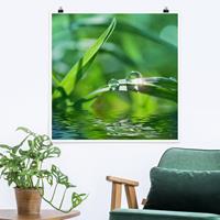 Bilderwelten Poster Blumen - Quadrat Green Ambiance II