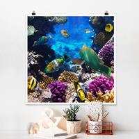 Bilderwelten Poster Strand - Quadrat Underwater Dreams