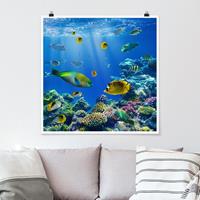 Bilderwelten Poster Strand - Quadrat Underwater Lights