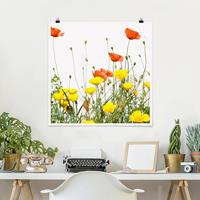 Bilderwelten Poster Blumen - Quadrat Wild Flowers