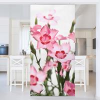 Bilderwelten Raumteiler Blumen Pink Flowers
