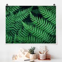Bilderwelten Poster Blumen - Querformat Farn