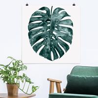 Bilderwelten Poster Blumen - Quadrat Smaragdgrüne Monstera Deliciosa