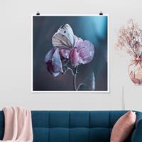 Bilderwelten Poster Blumen - Quadrat Schmetterling im Regen