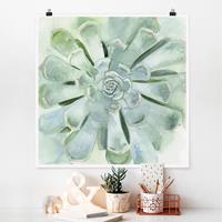 Bilderwelten Poster Blumen - Quadrat Sukkulente Aquarell Hell