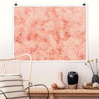 Bilderwelten Poster Blumen - Querformat Rosmarin Rosa