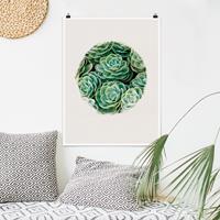 Bilderwelten Poster Blumen - Hochformat Wasserfarben - Grüne Sukkulenten