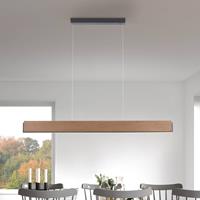 Paul Neuhaus Palma LED hanglamp CCT up/down