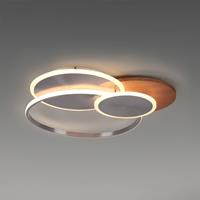 Paul Neuhaus Palma LED plafondlamp CCT rond