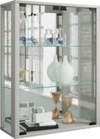 VCM Wandvitrine Sammelvitrine Glasvitrine Wand Vitrine Regal Schrank Glas Hängevitrine Udina Spiegel silber