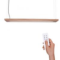 Paul Neuhaus Hanglamp Palma Boomstam Led 120cm Dimbaar