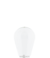 LEDR Outdoor Patio Edison Bulb - Transparant