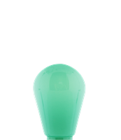LEDR Outdoor Patio Edison Bulb - Mint