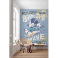 Praxis Komar wand Mickey brave the Wavefoto