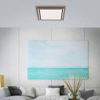 Paul Neuhaus Palma LED plafondlamp CCT vierkant