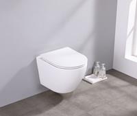Saniclear Itsie witte toiletpot randloos met softclose zitting