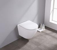 Saniclear Itsie mat witte toiletpot randloos met softclose zitting