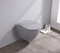 Saniclear Itsie mat grijze toiletpot randloos met softclose zitting