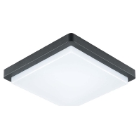 EVN DAQH54141502 - Ceiling-/wall luminaire DAQH54141502