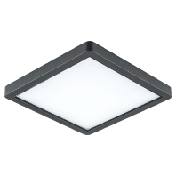 EVN DAQG54151502 - Ceiling-/wall luminaire DAQG54151502