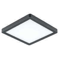 EVN DAQG54151502 - Ceiling-/wall luminaire DAQG54151502