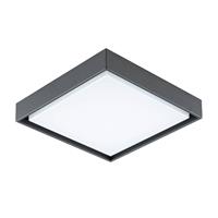 EVN Tectum LED buiten plafondlamp hoekig 110graden