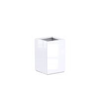 Tuinvoordeel Buxus Hoogglans polyester 40x40x60 cm plantenbak