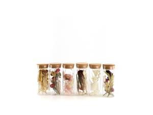 Dijk natural collections Pot glas met droogbloemen Ã5x12.5cm