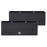 Set van 2x stuks kunststof Rato plantenbak met irrigatiesysteem antraciet 80 x 33 x 32 cm - 72 liter - Balkonbakken/bloembakken