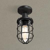 Westinghouse Crestview buiten plafondlamp