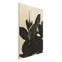 Bilderwelten Holzbild Gummibaum BlÃtter Schwarz WeiÃŸ