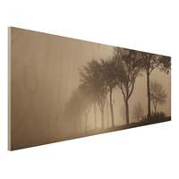 Bilderwelten Holzbild Baumallee im Morgennebel