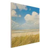 Bilderwelten Holzbild Natur & Landschaft - Quadrat An der NordseekÃ¼ste