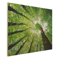 Bilderwelten Holzbild Natur & Landschaft - Querformat 4:3 BÃume des Lebens