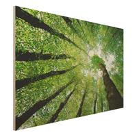 Bilderwelten Holzbild Natur & Landschaft - Querformat 3:2 BÃume des Lebens