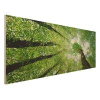 Bilderwelten Holzbild Natur & Landschaft - Panorama BÃume des Lebens