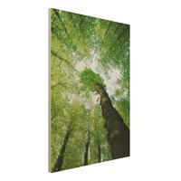 Bilderwelten Holzbild Natur & Landschaft - Hochformat 3:4 BÃume des Lebens